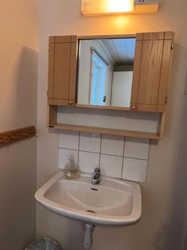 a bathroom with a sink and a mirror at Lantlivlodge i Österjörn - Midgård in Jörn