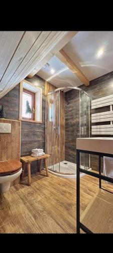 a bathroom with a shower and a toilet and a sink at Chata u Holka in Witów