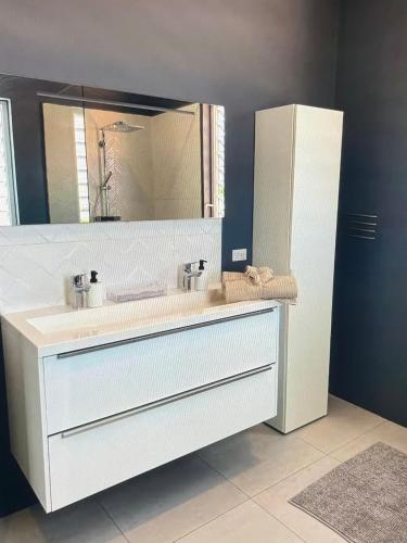 a bathroom with a sink and a mirror at Holiday Haven - Jan Thiel in Jan Thiel