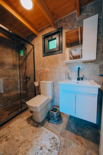 a bathroom with a toilet and a sink and a shower at Sapancaacarkonaklama in Sapanca