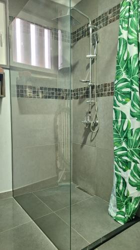 a shower with a glass door in a bathroom at Play Apartments in Paraćin