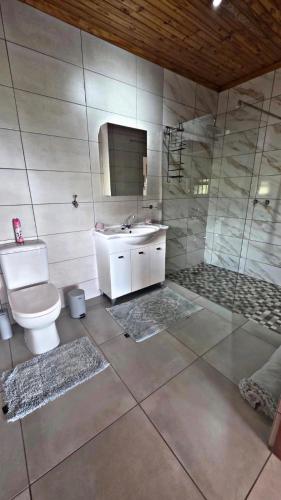 a bathroom with a toilet and a sink and a mirror at Rosies on Robin - Pool, Braai & Mountain Views in Rustenburg