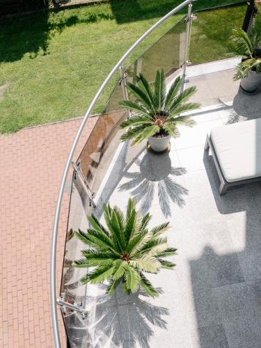 an overhead view of palm trees on a patio at Willa Ada Pokoje & Apartamenty in Karwia
