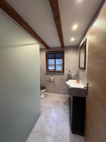 a bathroom with a sink and a toilet and a window at Insel 8 in Wernigerode