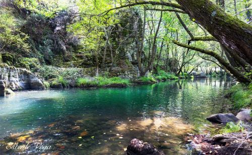 a river in a forest with green water and trees at Hotel Molina Real in Molinaseca