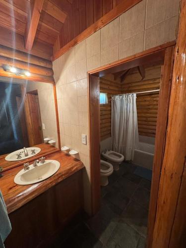 a bathroom with a sink and a toilet and a mirror at Cabañas EL CAMPITO in Aluminé