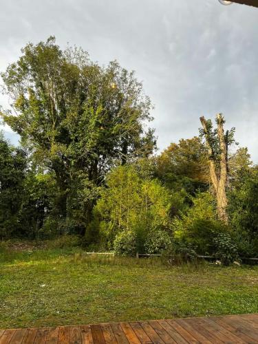 a yard with trees and grass and a wooden deck at Charming House In Lyons-La-Forêt in Lyons-la-Forêt