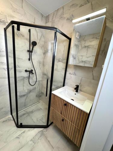 a bathroom with a shower and a sink at Apartament Kwiatowa in Tychy