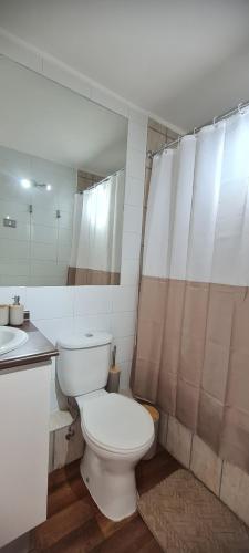 a bathroom with a white toilet and a sink at Vista Insuperable in Villarrica