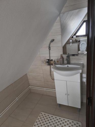 a bathroom with a sink and a shower at Casa Ionuț și Sofia in Podu Dîmboviţei