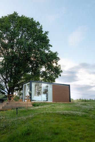 a small house in a field with a tree at Gnist Retreat in Sørumsand