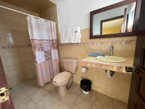 a bathroom with a toilet and a sink and a mirror at Hotel Los Arcos in Tlalpujahua de Rayón