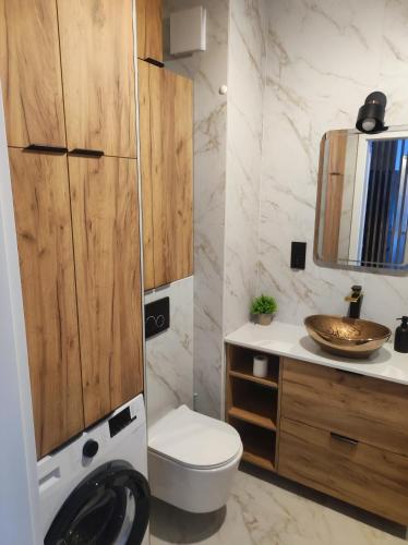 a bathroom with a toilet and a sink at Apartament Bieszczady in Lesko