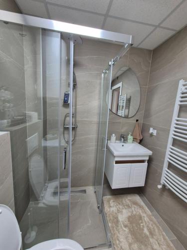 a bathroom with a shower and a toilet and a sink at Premijum 5 in Smederevska Palanka