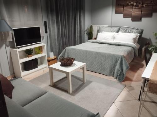 Ioannina City Studios 1