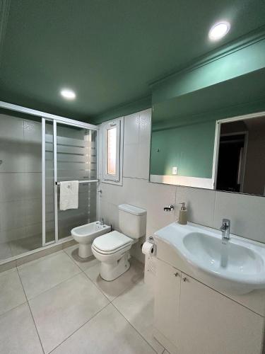 a bathroom with a toilet and a sink and a shower at 4 Estaciones in El Bolsón
