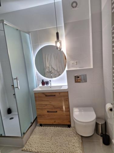 a bathroom with a sink and a toilet and a mirror at Bieszczadzka Chata Stańkowa in Ropienka