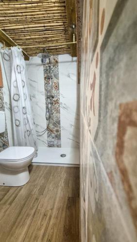 a bathroom with a toilet and a shower at Borgo Antico - Barrique Studio in Lotzorai