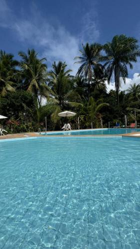 a large swimming pool with palm trees in the background at Hotel Mamoan in Ilhéus
