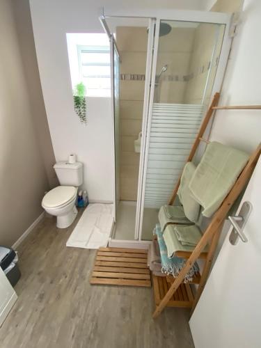 a bathroom with a shower and a toilet at Grand Case Beach Steps in Grand Case