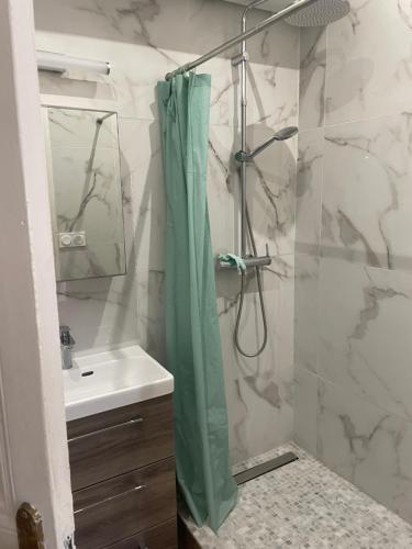 un bagno con tenda da doccia e lavandino di Sophia a Beausoleil
