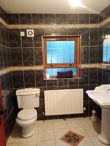 a bathroom with a toilet and a window and a sink at Shamrock House in Fintona