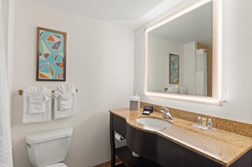 a bathroom with a sink and a mirror at Comfort Suites Vero Beach I-95 in Vero Beach