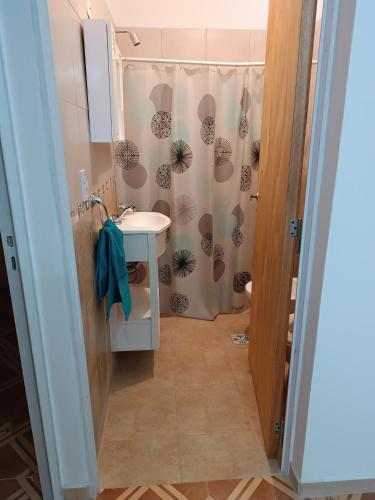 a bathroom with a sink and a shower curtain at Los Colibríes del Valle in Valle Hermoso