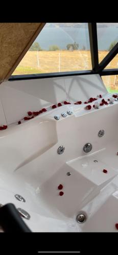 a room with red roses on the floor of a boat at San Jerónimo Glamping in Tota
