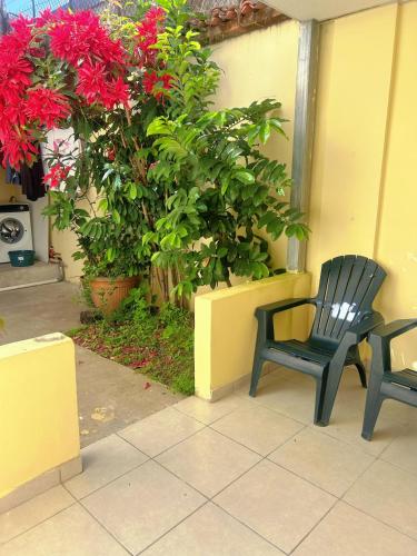 Uong Oasis
