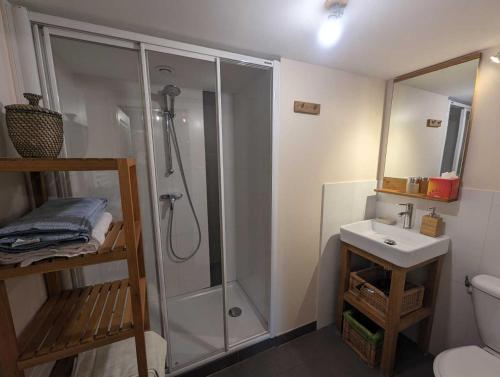 a bathroom with a shower and a sink at Relais de la vallée de l'ource in Villars-Montroyer