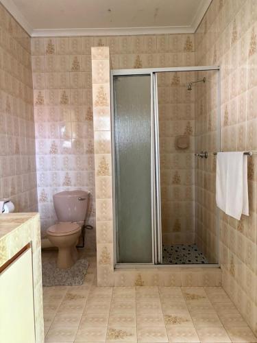 a bathroom with a toilet and a glass shower at 33 Boeren Guesthouse in Vryheid