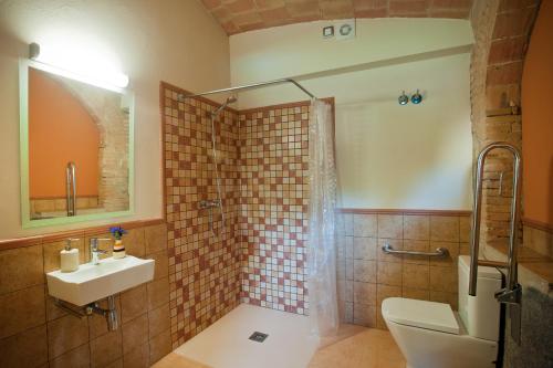 y baño con ducha, aseo y lavamanos. en Cal Ferrer Pujol, en Ordis