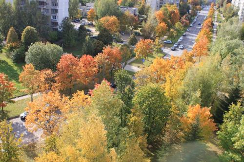 an aerial view of a city with trees in autumn at Roberto dangaus apartamentai in Vilnius