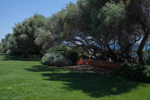 a garden with a large tree and green grass at Dialiskari Villas in Marathopolis