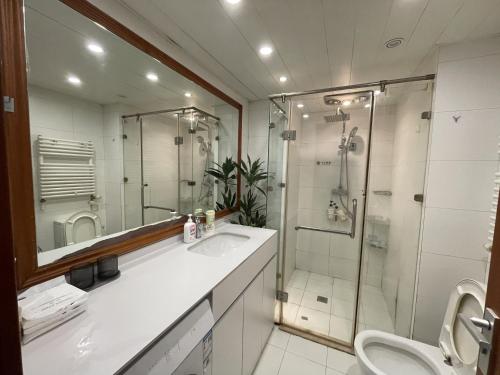 a bathroom with a shower and a sink and a toilet at Anju Apartment in Beijing