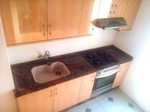 a kitchen with a sink and a stove at Private Apartment Horticultor Bosch in Valencia