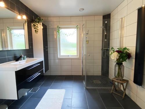 a bathroom with a shower and a sink and a mirror at Charming villa near the beach in Vejbystrand SE01066 in Vejbystrand
