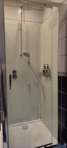 a shower with a glass door in a bathroom at Charmant Loft climatisé 50 m de la gare in Chalon-sur-Saône
