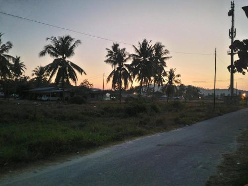 an empty road with palm trees in the sunset at Tokman Inn in Pantai Cenang