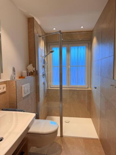 a bathroom with a shower and a toilet and a sink at Ferienwohnungen Bohner/Wohnung Elisabeth in Meersburg