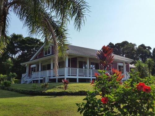 a house with a palm tree in front of it at Hana Mana in Yakushima