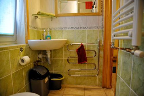 a small bathroom with a sink and a shower at Atpūtas vieta Upes Sausītes in Sidrabiņi