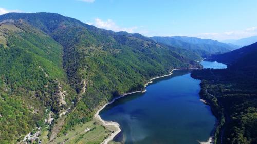 an aerial view of a river in a valley at Pensiunea Alpina in Malaia