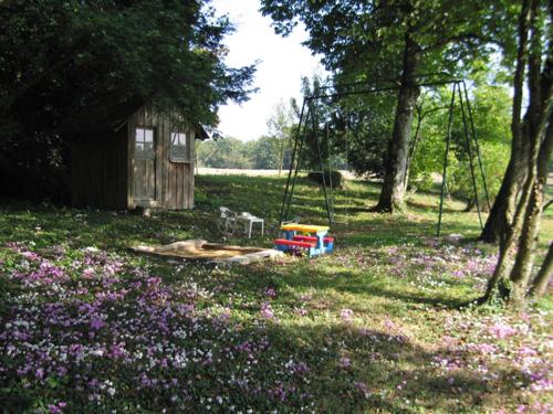 a swing in the middle of a field of flowers at Chambres d'Hôtes Le Château de la Plante in Thuré