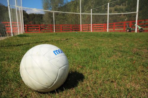 a soccer ball sitting on the grass next to a fence at Pensiunea Alpina in Malaia