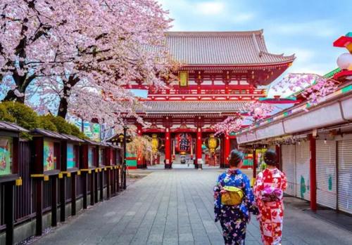 Open sale! Direct access from Narita Airport, 2 stops to Asakusa in 8 minutes, up to 4 people, 1F, downtown Tokyo, Wi-Fi 21