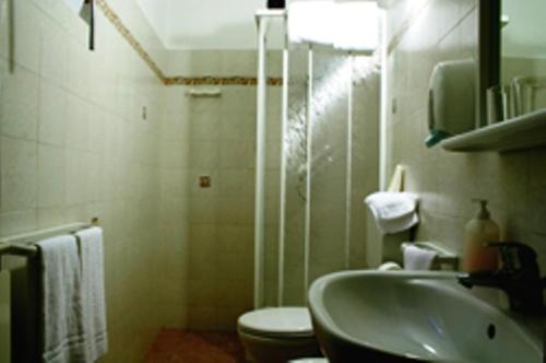 a bathroom with a sink, toilet and shower stall at Hotel Del Sole in Riomaggiore