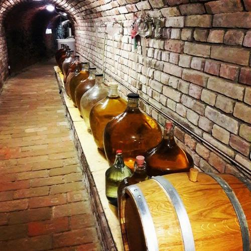 a row of wine barrels lined up against a brick wall at Privat Bohemia in Šatov