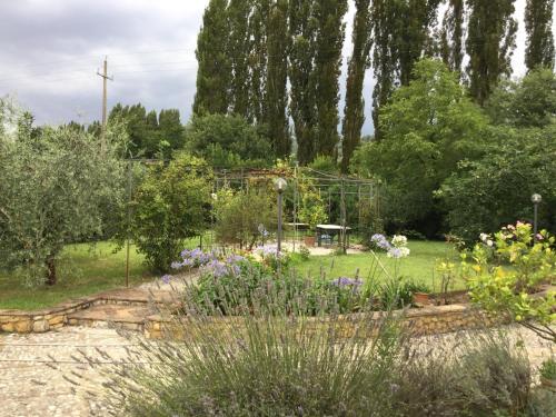 a garden with a bunch of flowers and trees at Borgo San Valentino in Arrone